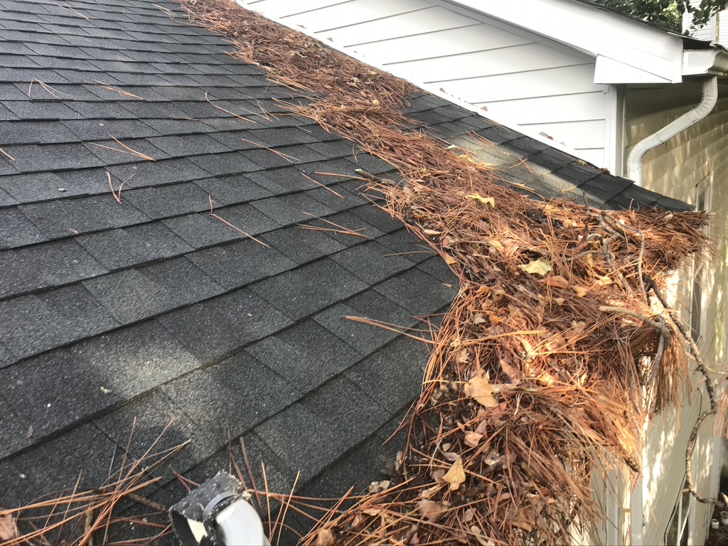 MEGAH SoftWash - Gutter Cleaning - Before image