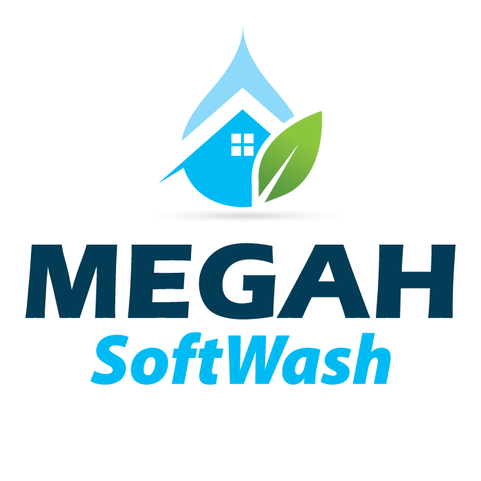 MegahSoftWash LOGO [RGB] 01 (1)